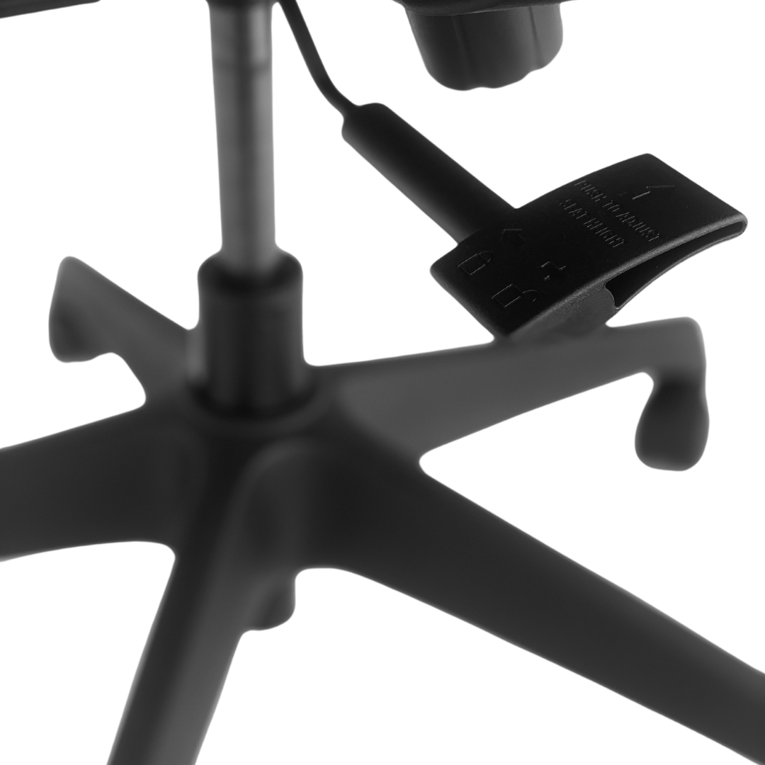 B22 Office Chair adjustable arm rest with lumbar support